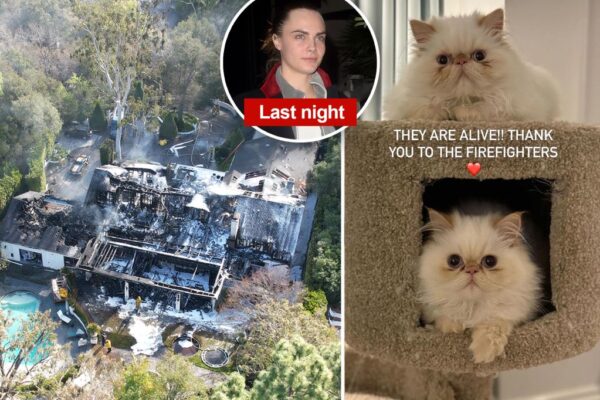 Cara Delevingne’s $7M LA home gutted by massive fire as she posts picture of her cats: ‘They are alive!’